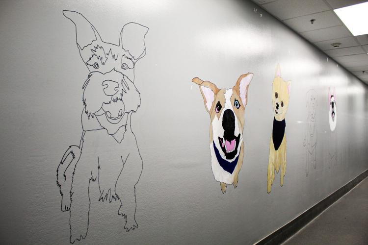 Tyler Animal Shelter is seeking sponsors to help artist beautify the shelter  | Local News 