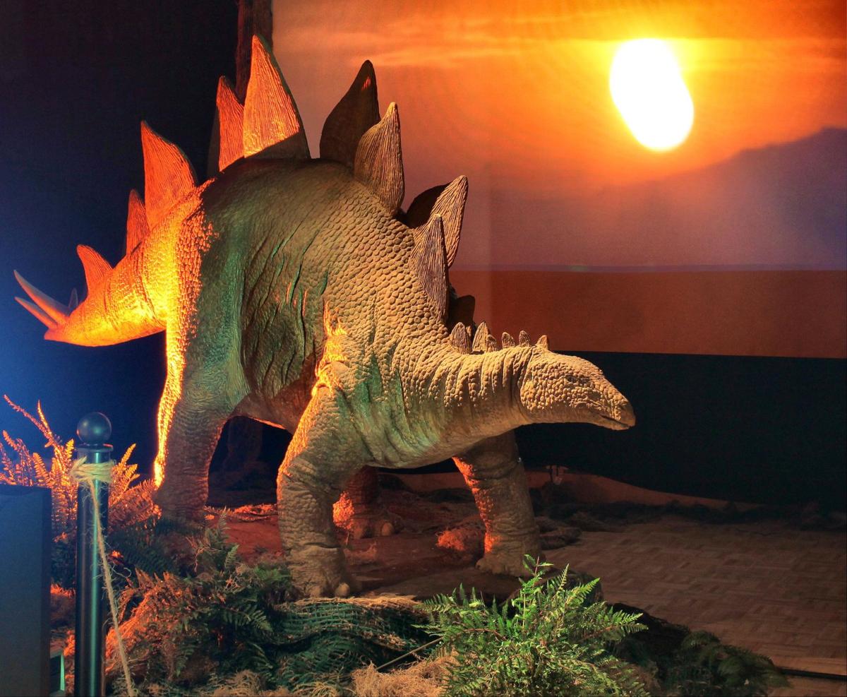 discovery place dinosaurs
