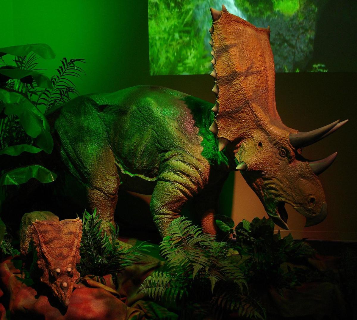 discovery place dinosaurs