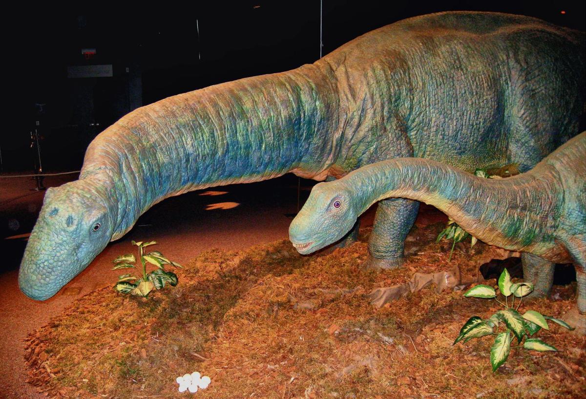 discovery place dinosaurs