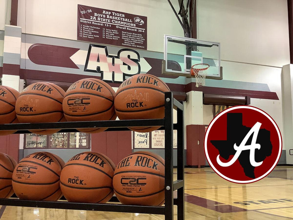 Block Arp Tigers Tee Block Arp Tigers Tee