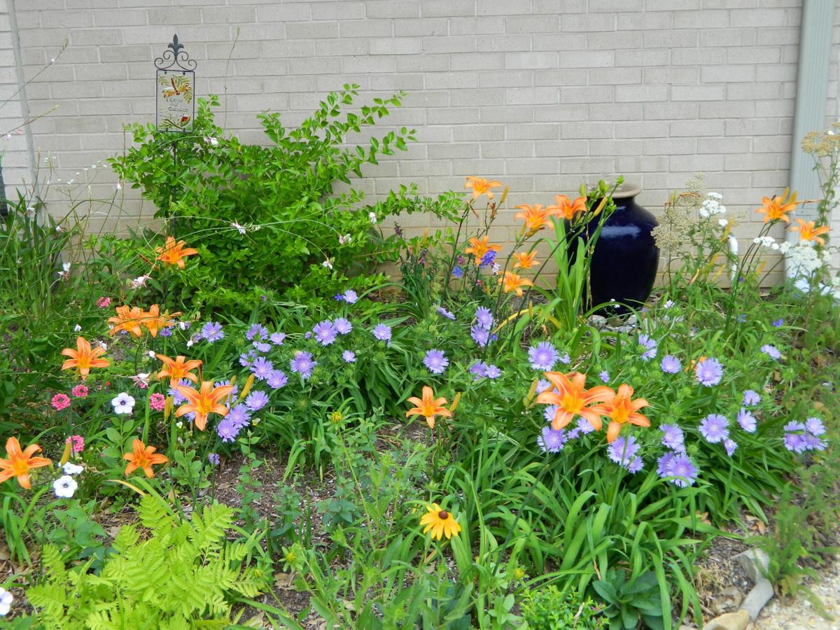 Buy the plants carefully