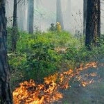Smoke In North Tyler Caused By Controlled Burn