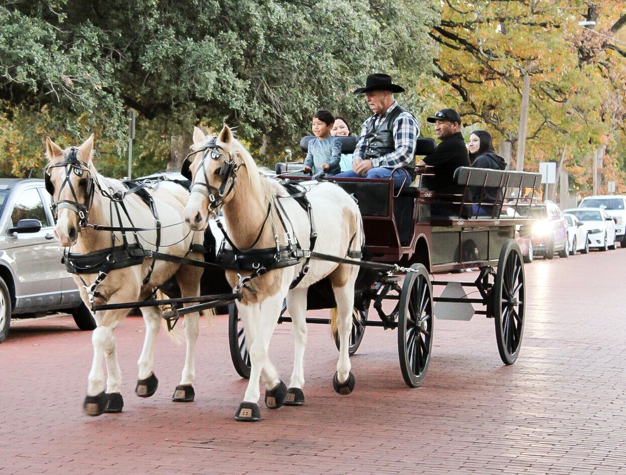 Horse drawn carriage hot sale rides near me