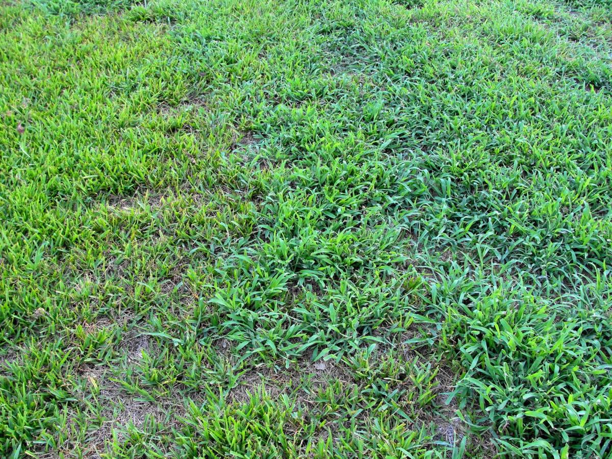 34 Pre M Herbicide Label - Labels For Your Ideas