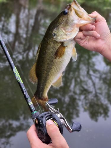Gearing Up: Matching the rod for technique makes for better fishing, Columnists