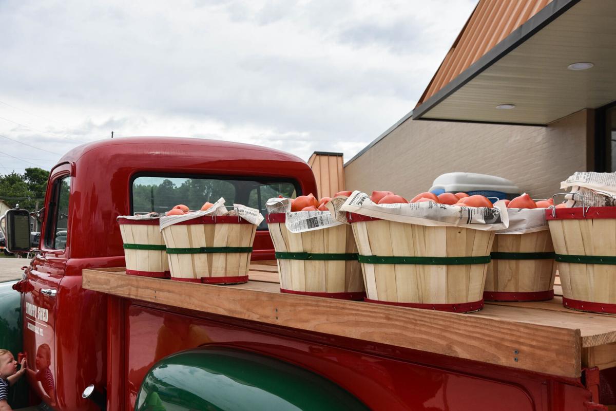 Tomato Time Famous Tomato Fest returns to Jacksonville Local News