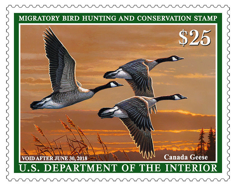 New Federal Duck Stamp flies into stores Texas All Outdoors