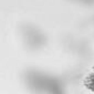 Ms Jamilia Williams Obituaries Tylerpaper Com