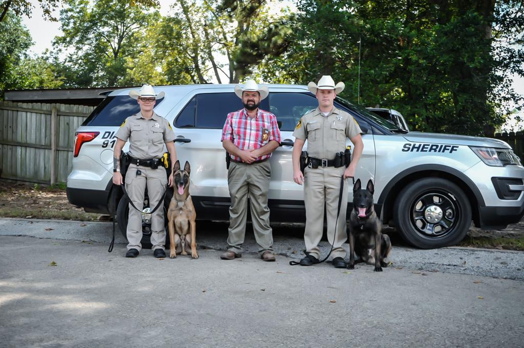 Henderson County Sheriff's Office welcomes 2 K-9 officers to the department  | Local News 
