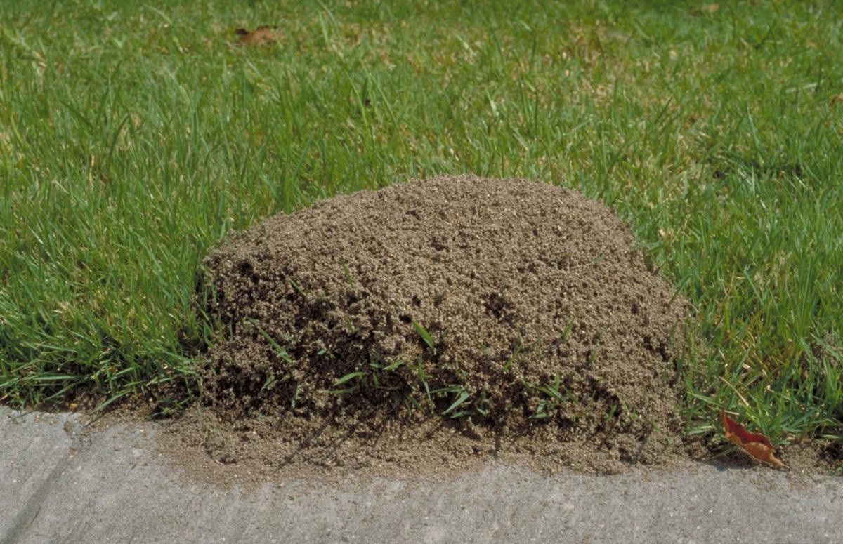 Use the 