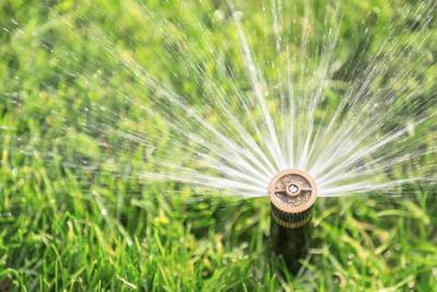 You can keep your lawn watered and practice water conservation