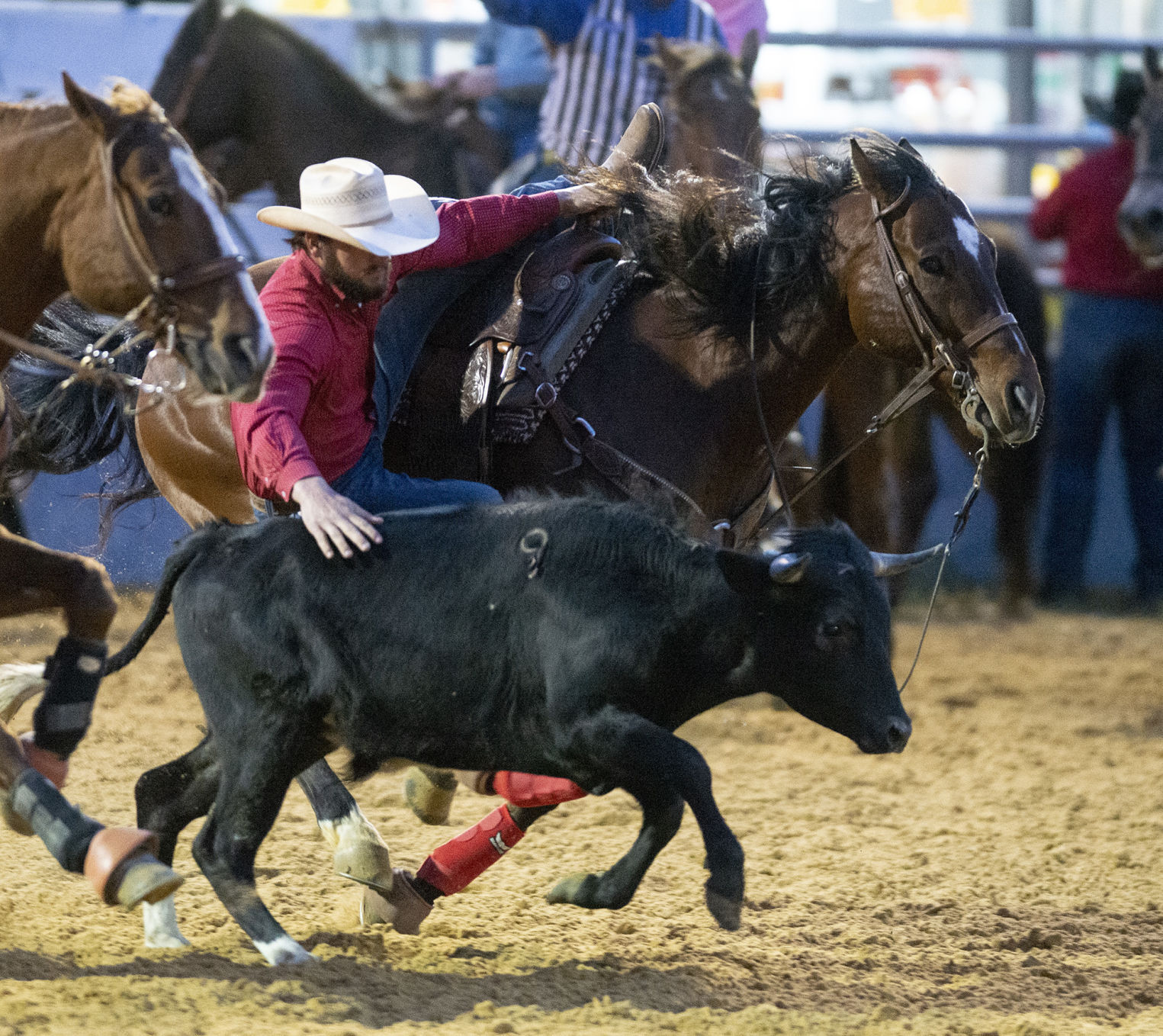 red white and boots prca rodeo