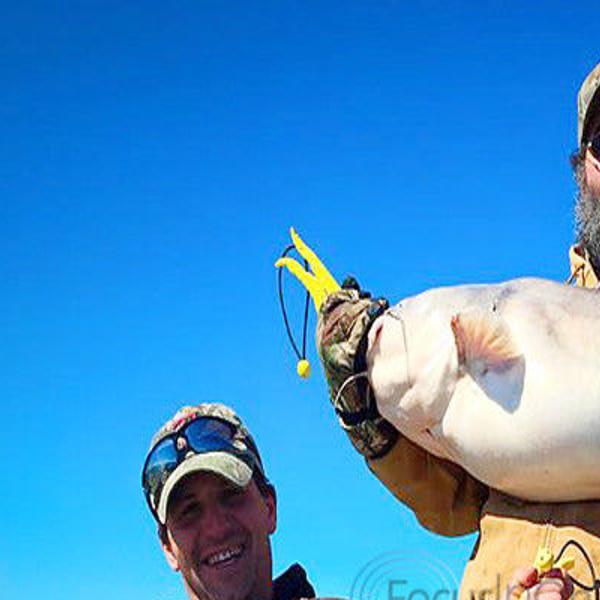 King Kat Catfish event returns to record-setting Lake Tawakoni, Texas All  Outdoors