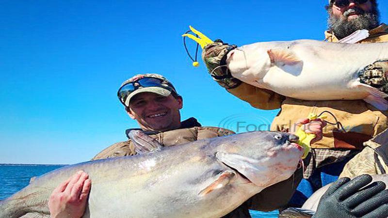 King Kat Catfish Event Returns To Record Setting Lake Tawakoni