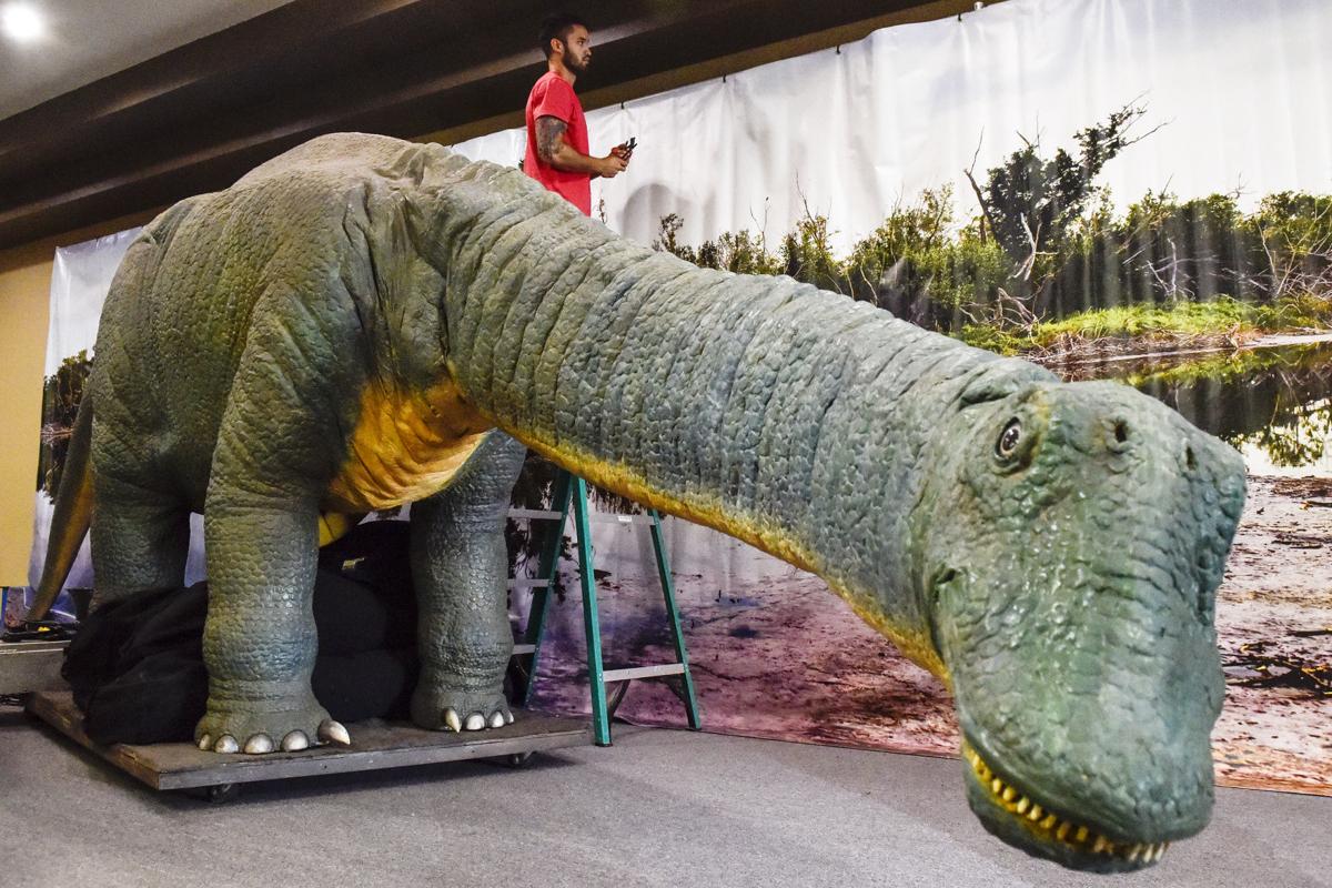 discovery place dinosaurs