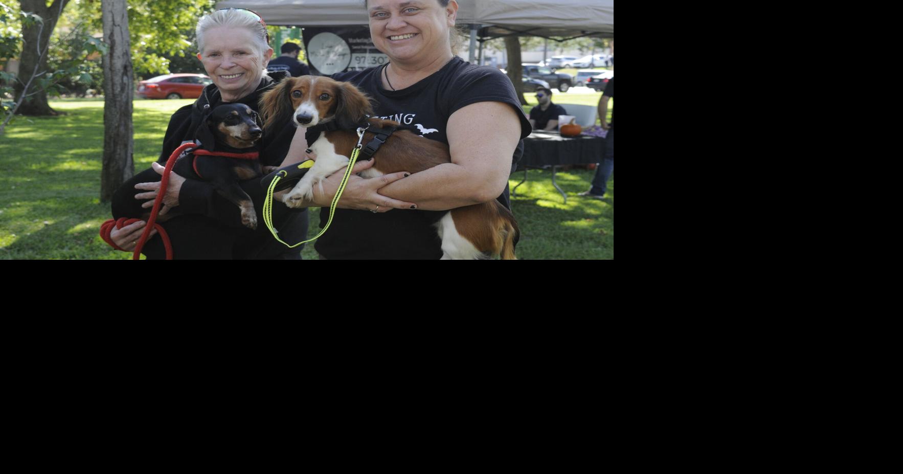 Pets Fur People events bridge the gap between animal and human | News