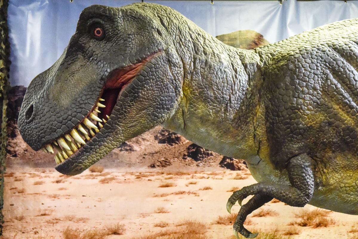 discovery place dinosaurs