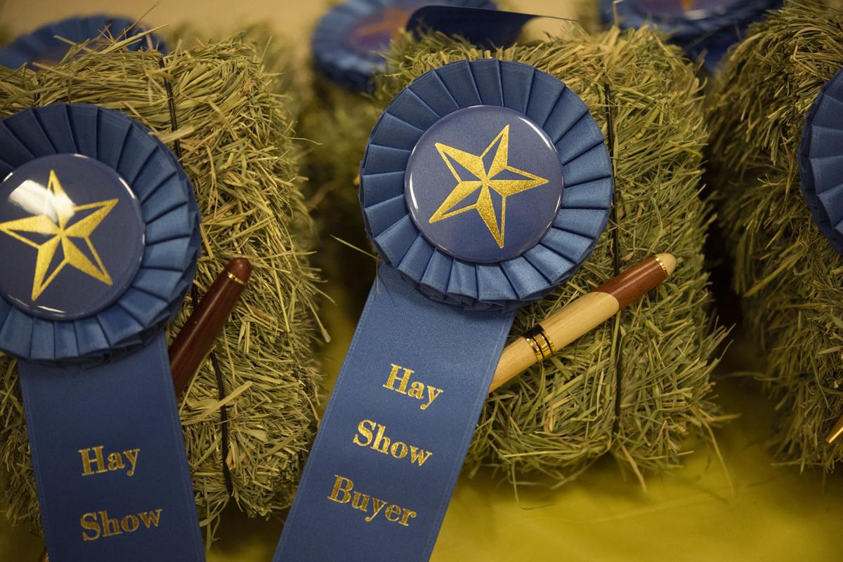 20190924_local_Hay_Show_02web.jpg