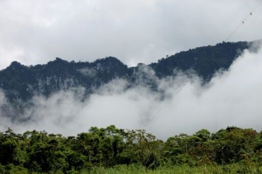 Papua New Guinea PM Vows To Return To UN Climate Talks | National ...