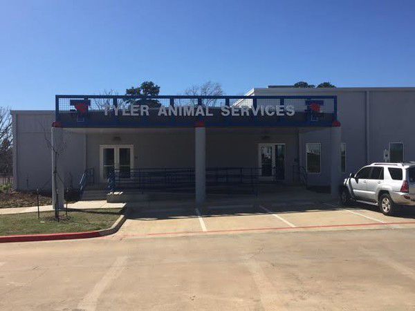 Moved in: Tyler's Animal Shelter to start adopting pets from new facility  Thursday | Local News 
