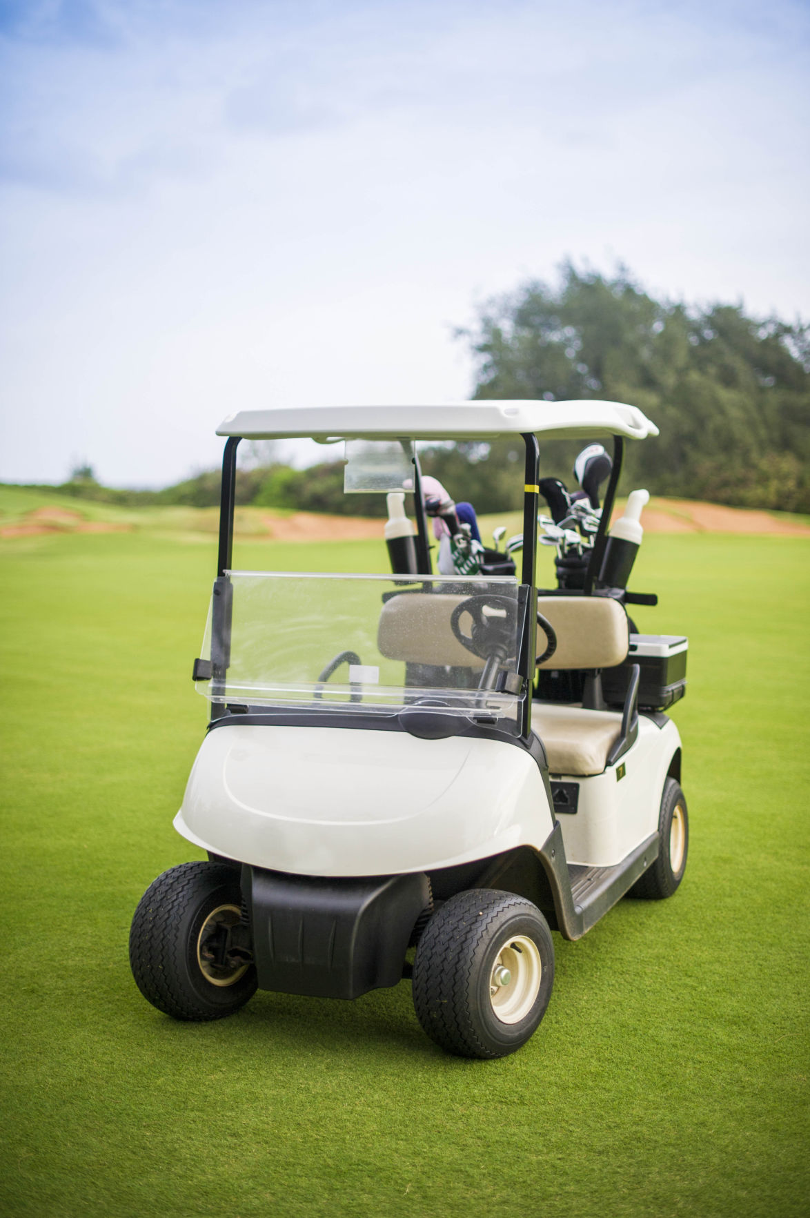 bmw golf cart