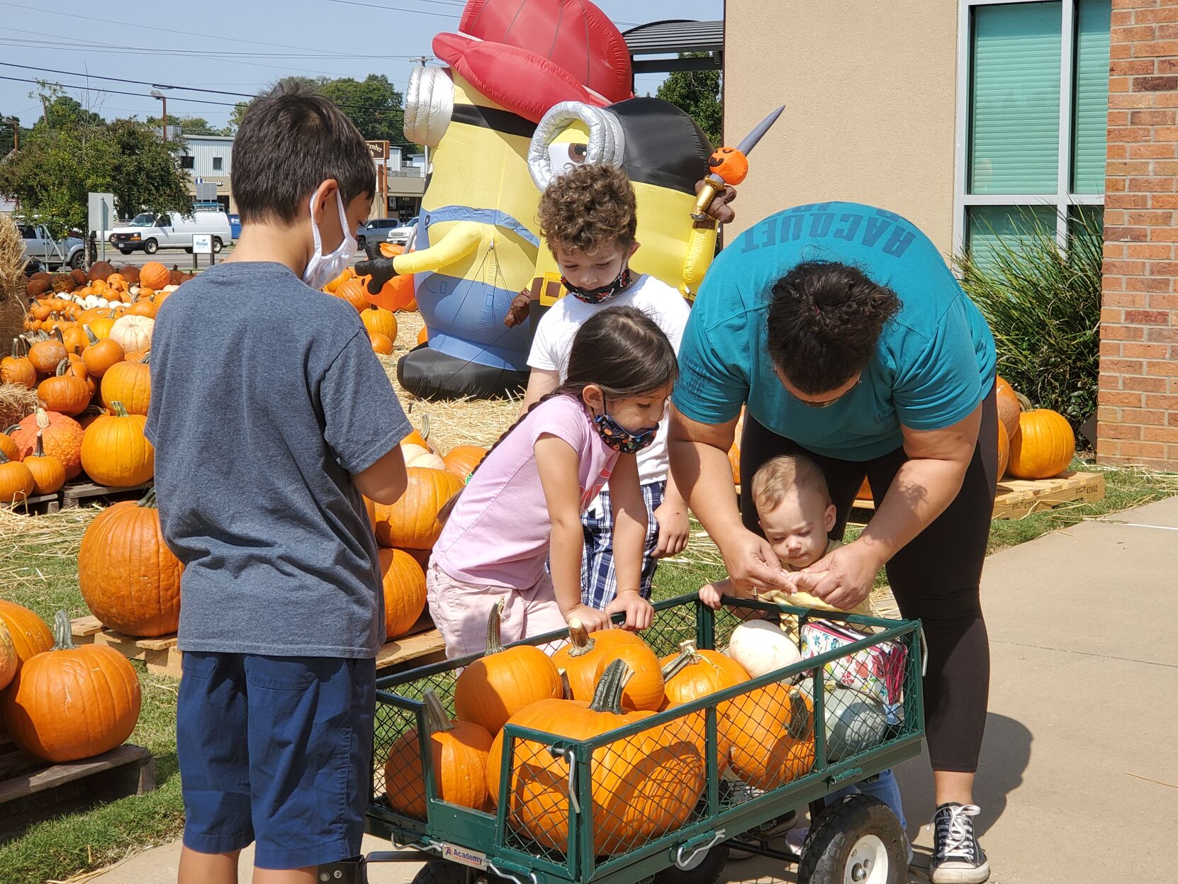 friendswood pumpkin patch