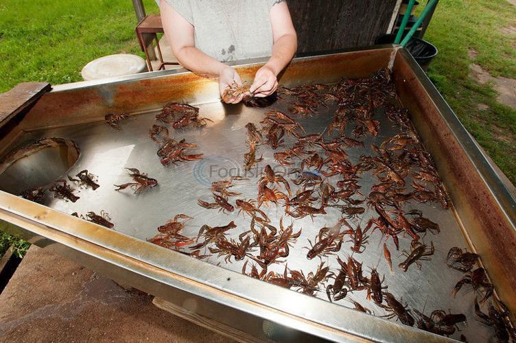 Crawfish Tales: Life on the creek, Business