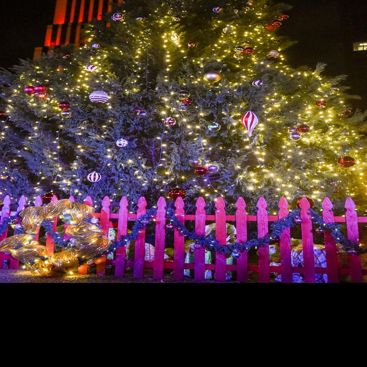 City Of Tyler Gears Up For Christmas Tree Lighting Ceremony Local News Tylerpaper Com
