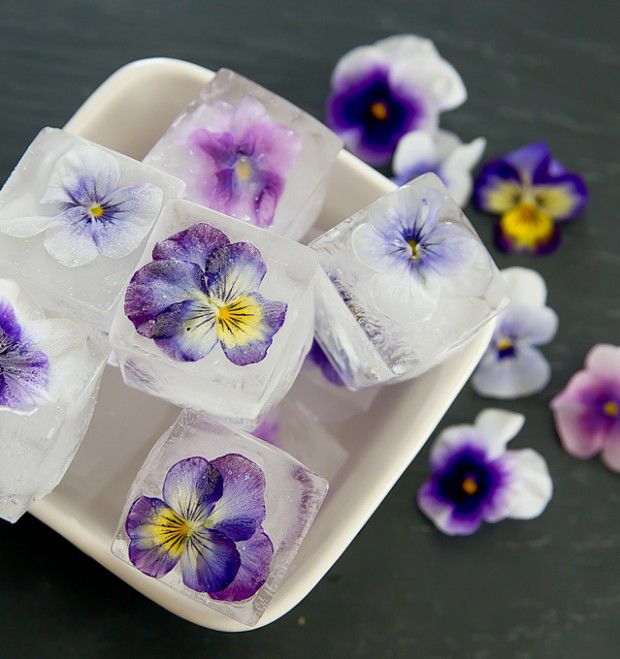 Freeze-Dried Edible Flowers (Mini Carnations and Bachelor Buttons)