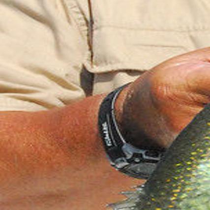 Spawning Crappie Tips? - Other Fish Species - Bass Fishing Forums