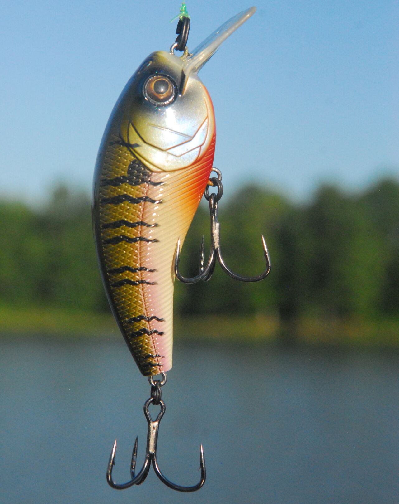 6th sense lures discount