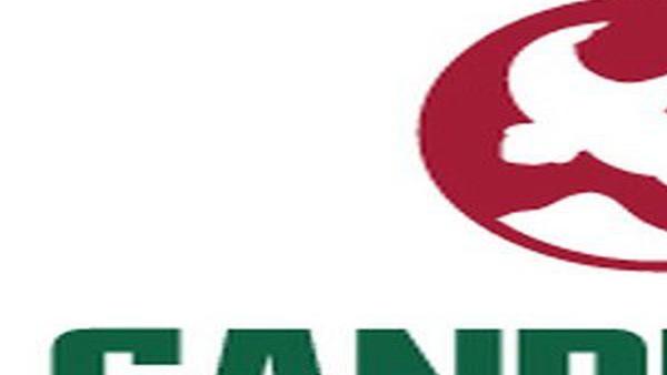 Gander Mountain's Tyler location set to remain open | Local ...