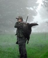 Slow Go: Eastern Turkeys still are not flying off the roost in big numbers