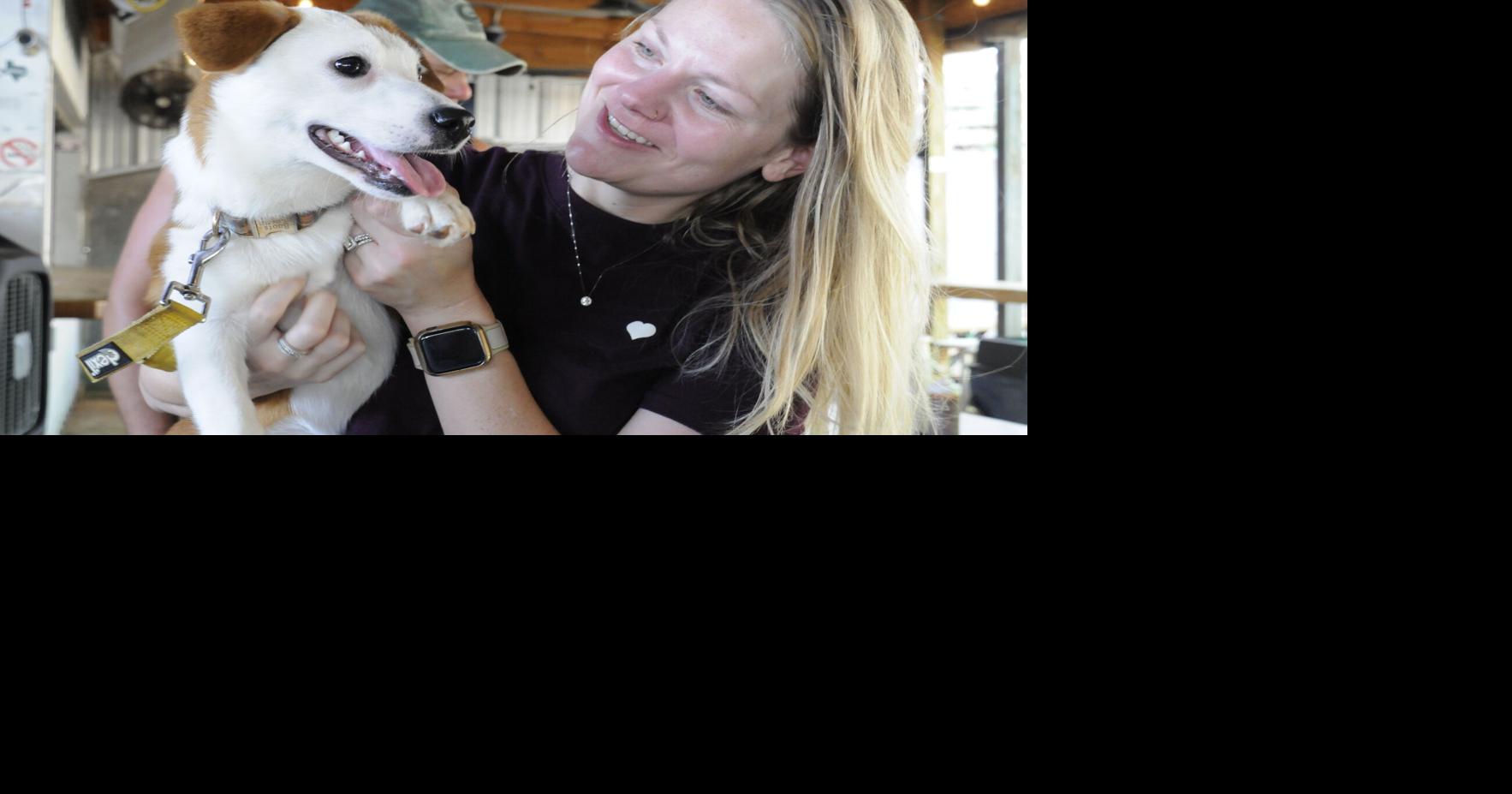 Foster dogs and make a difference with Nicholas Pet Haven | Local News