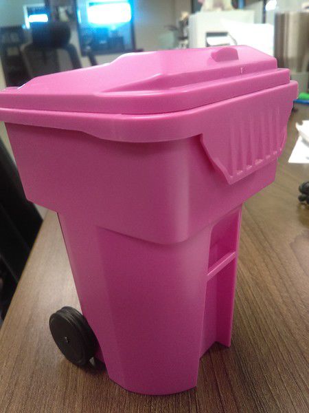 pink trash cans｜TikTok Search