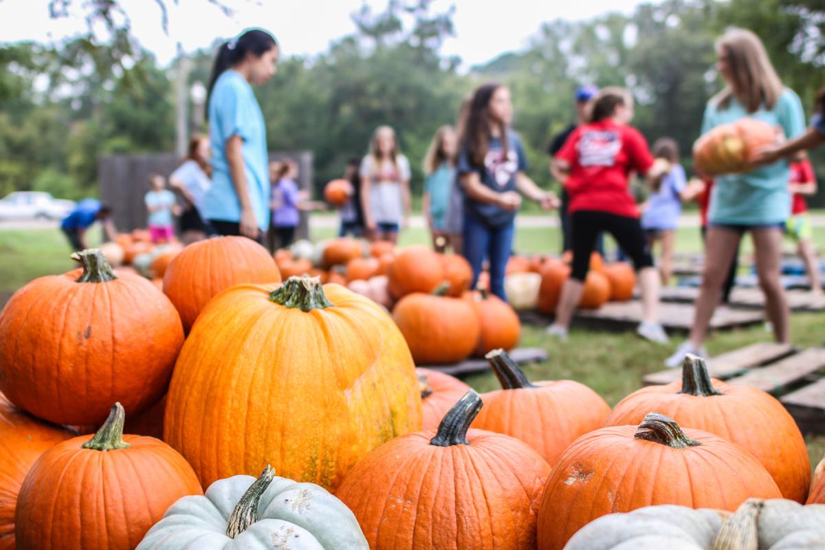 Pumpkin Patch Opens At Lanes Chapel United Methodist Church