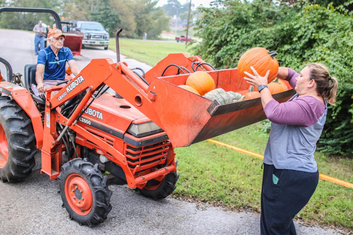 Culpeper pumpkin patch