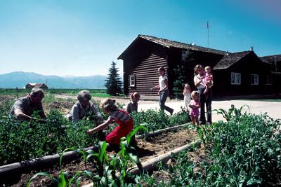 See What Happens When The Entire Family Grows A Garden