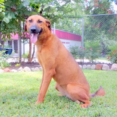 Ruby