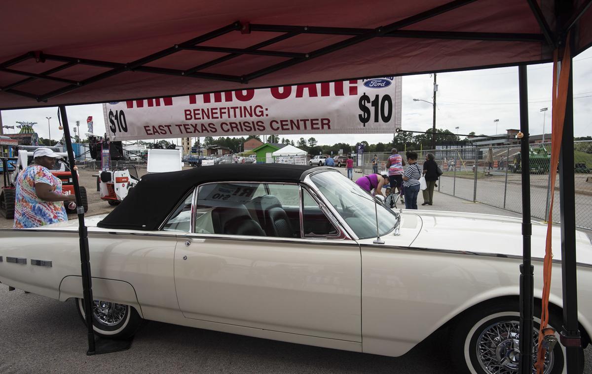 20180921_Thunderbird_02web.jpg