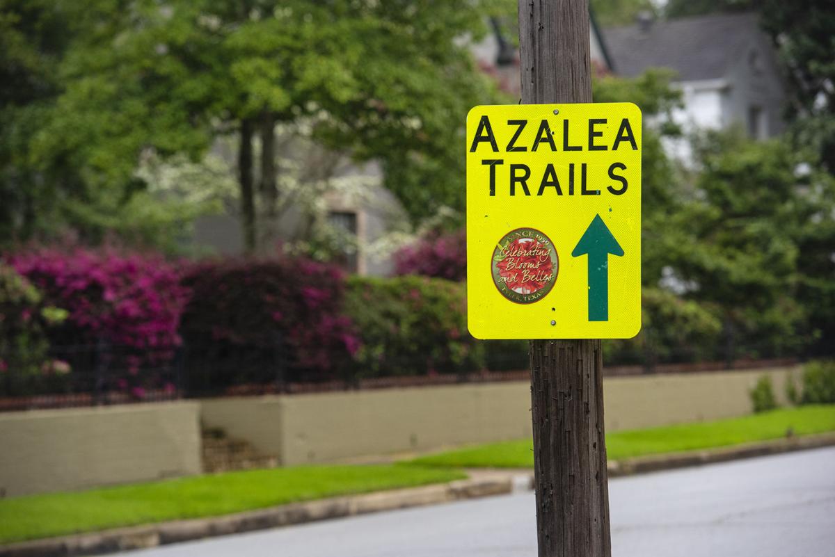 03172020_tmt_news_azalea_03web.jpg