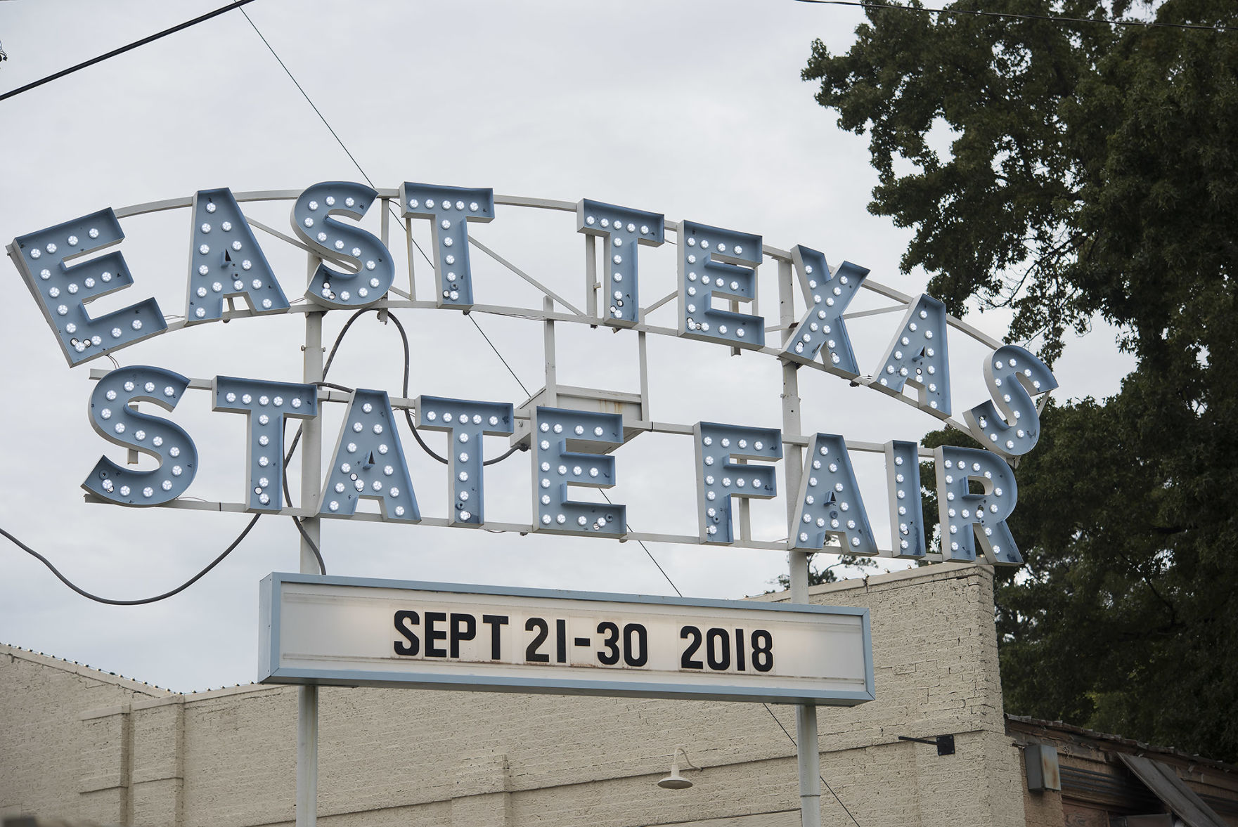 senior dating east texas state fair 2018