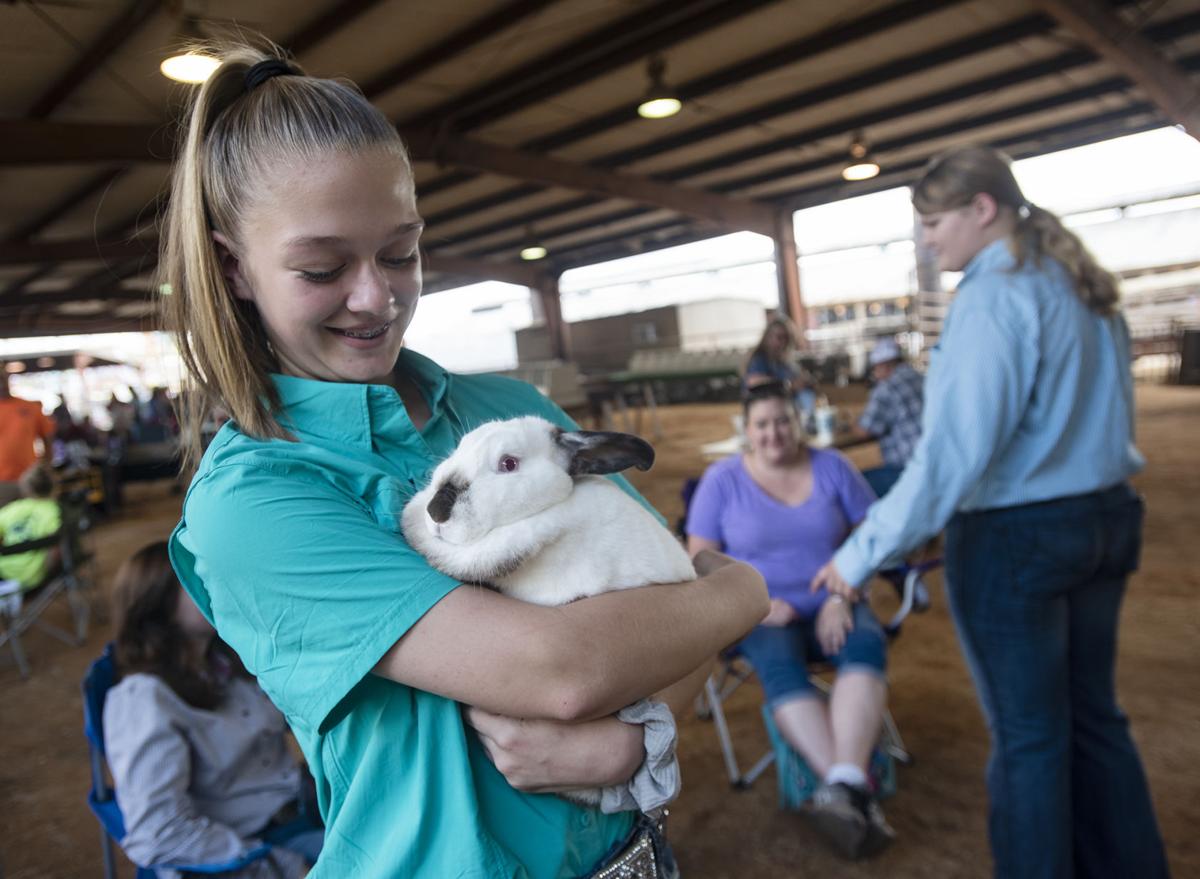 20190925_local_rabbit_show_08web.jpg