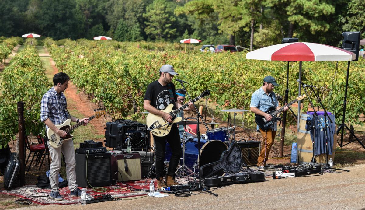 Kiepersol Winery Hosts Vine Day For Closing Of Harvest Season Local News Tylerpaper Com