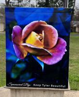 Keep Tyler Beautiful sponsors first three residential boxes in Beauty and the Box program