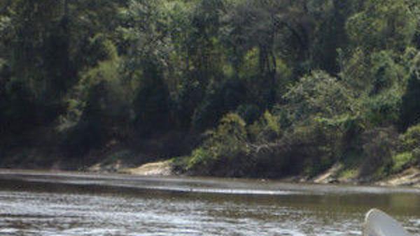 toledo bend paddle boat rentals