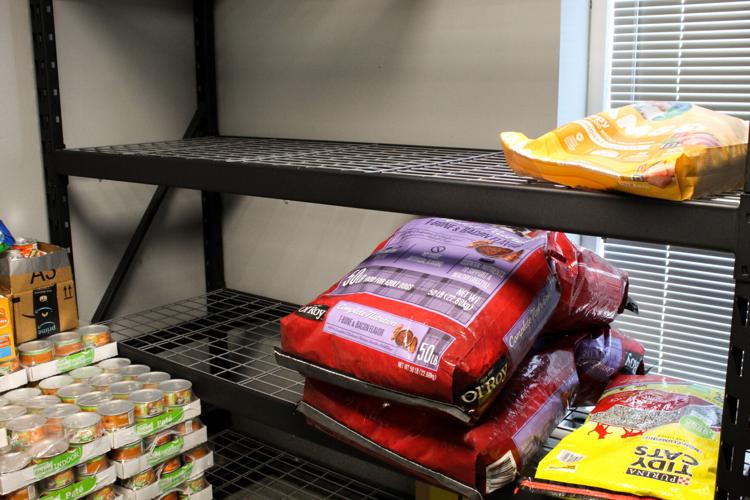 Tyler animal shelter waives adoption fees with dog food donation | Local  News 