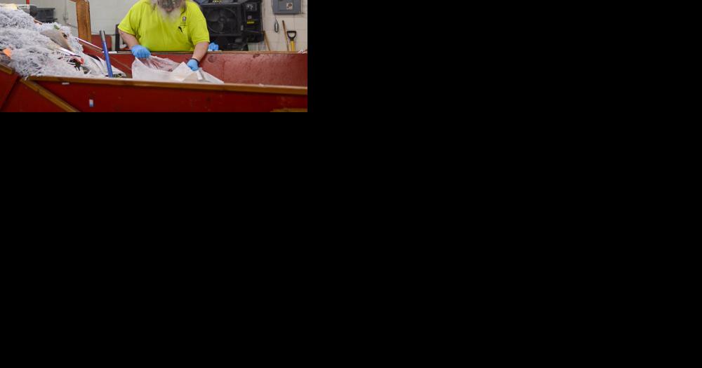 Campus strives for low recycling contamination, but policy needs updating - Vimarsana News