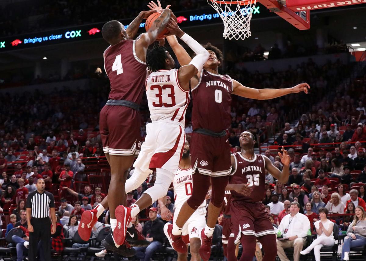 Razorbacks Dominate Montana Grizzlies Gallery Uatrav Com